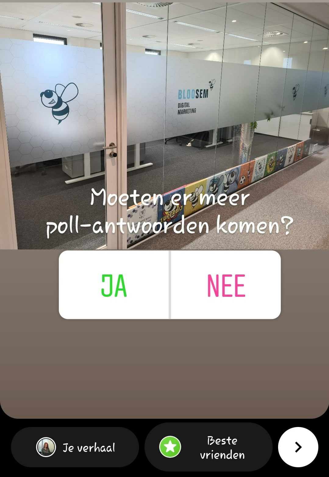 Poll antwoorden Instagramtrends 2022 BlooSEM