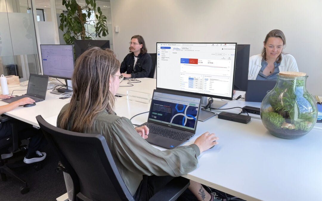 Adverteren met Google Ad Grants voor de Bijenstichting