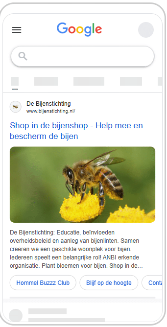 Google Grants voorbeeld - Bijenstichting 